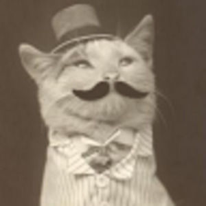 Meet your Posher, Kaela